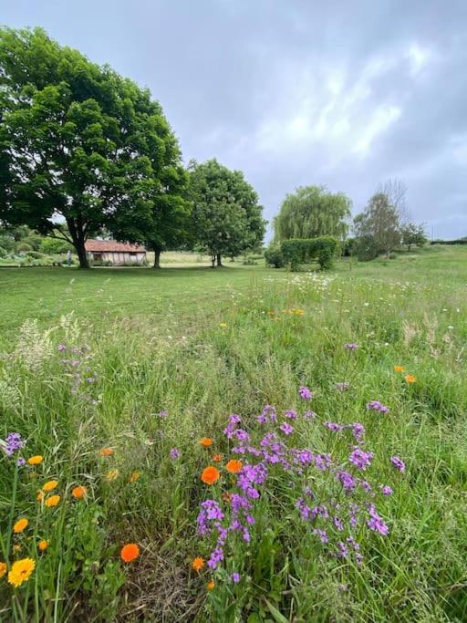 فيلا Spacious Country House In Normandie Moulins-le-Carbonnel المظهر الخارجي الصورة