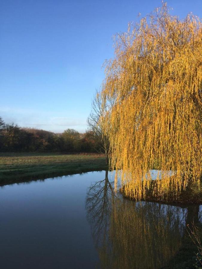 فيلا Spacious Country House In Normandie Moulins-le-Carbonnel المظهر الخارجي الصورة